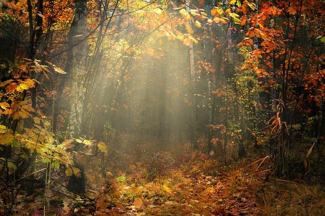 In pursuit of silence