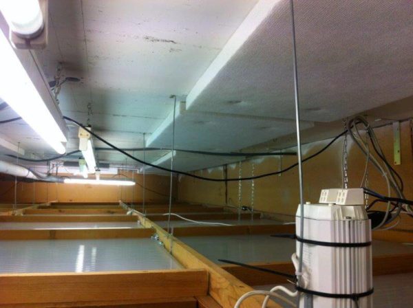 Borgeat Sport, Champéry