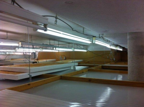 Borgeat Sport, Champéry