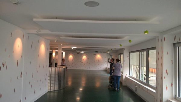 petis pois carottes 2