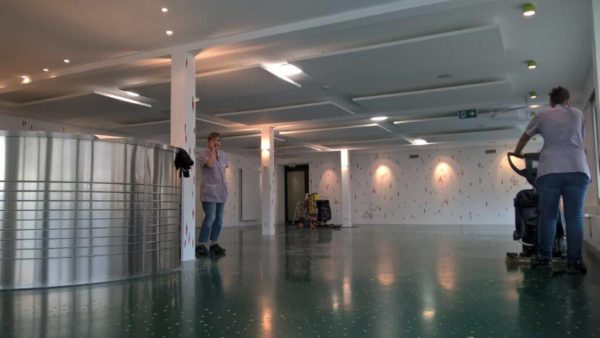 petis pois carottes 2