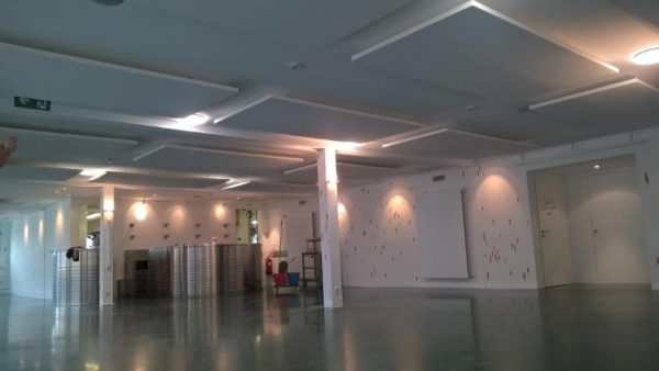 petis pois carottes 2