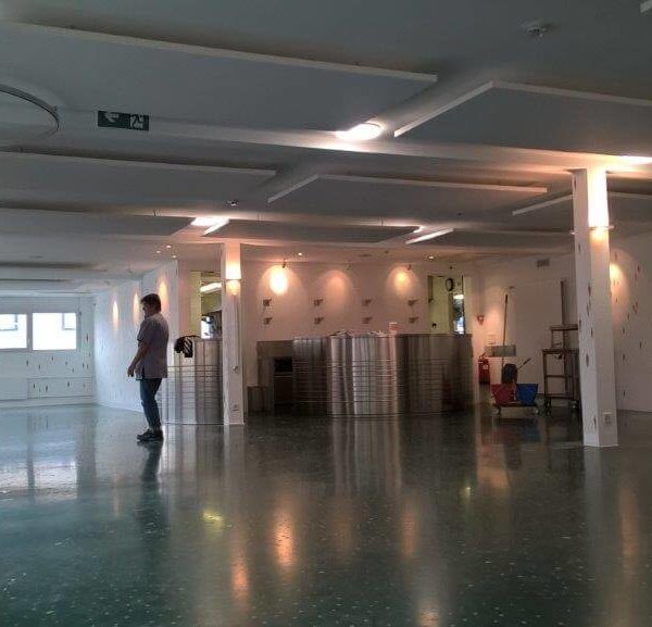 petis pois carottes 2