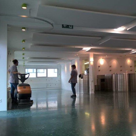 petis pois carottes 2